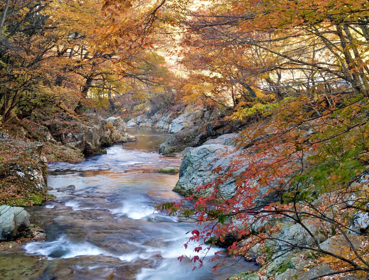 מלון ניקו Kinugawa Onsen Sanraku מראה חיצוני תמונה